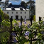Välkommen juni!