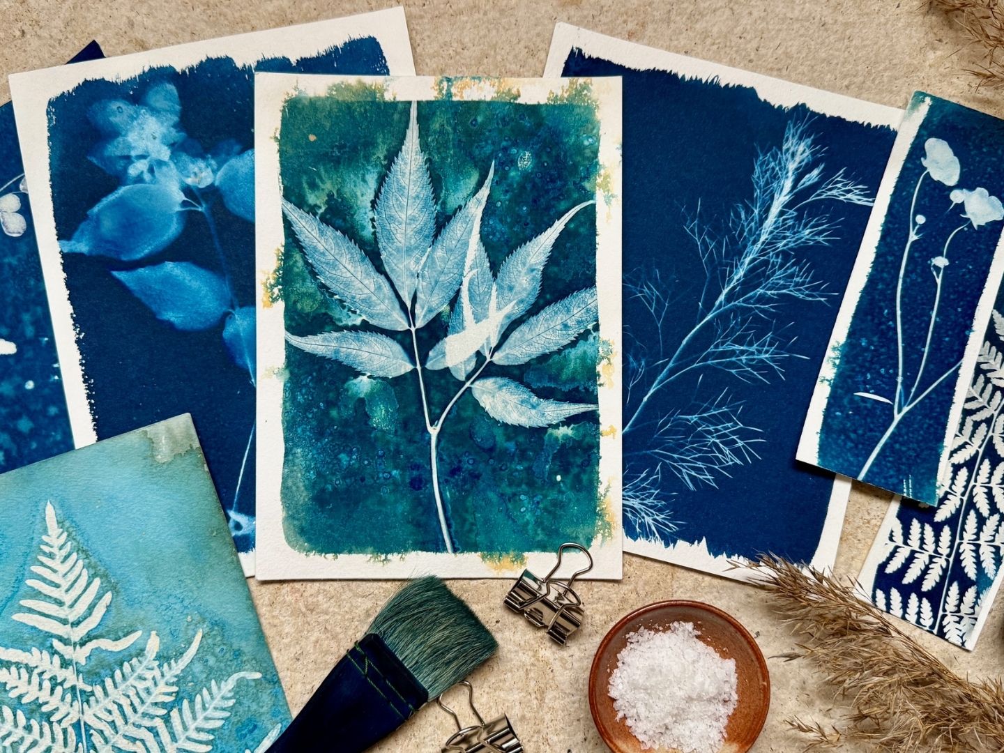 Read more about the article Cyanotypi – skapa med växter och solljus